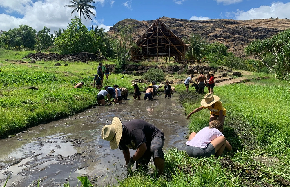 Ho'omahua Foundation | MonkeyPod User