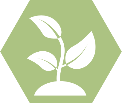 Sapling Package