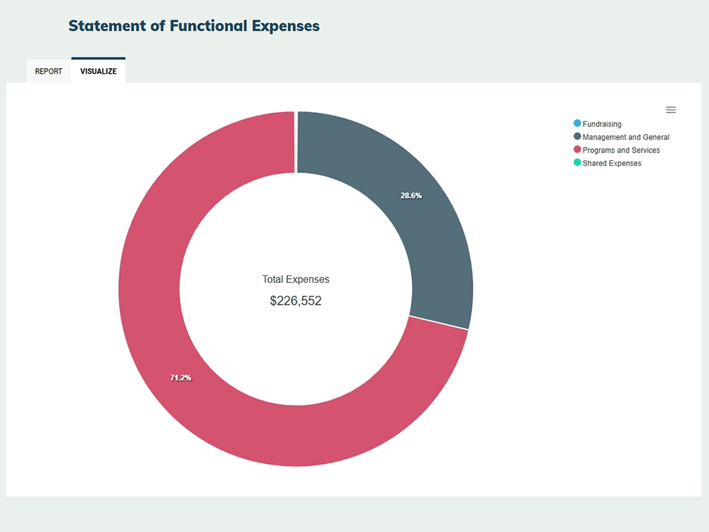 Chart showing Statement of Functional Expenses